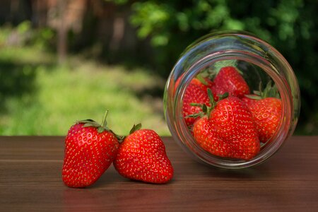 Strawberries jar garden