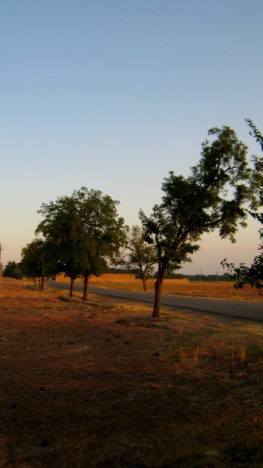 Maghrebi mausoleum way to Khayyam Blv - outskirt of Nishapur 2