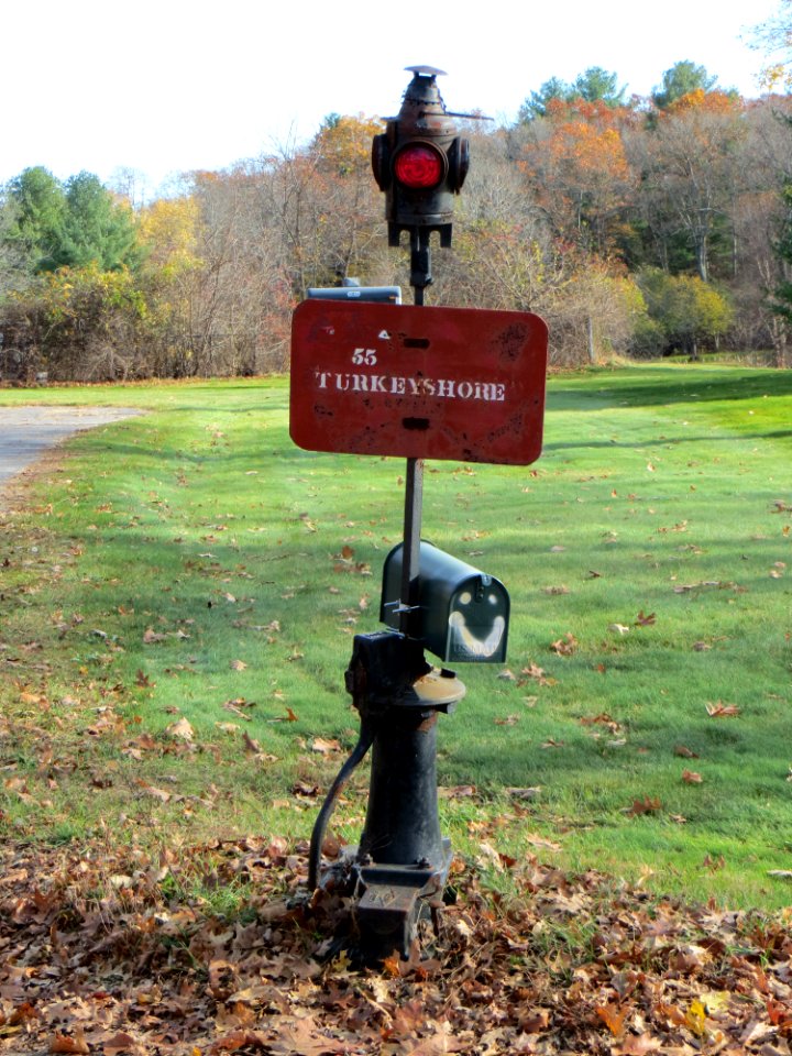 Mailbox-turkeyshore-Ipswich-Mass
