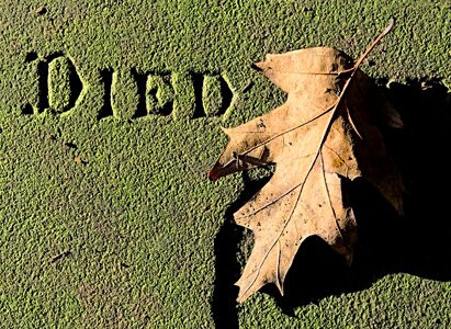 Death tomb stone photo