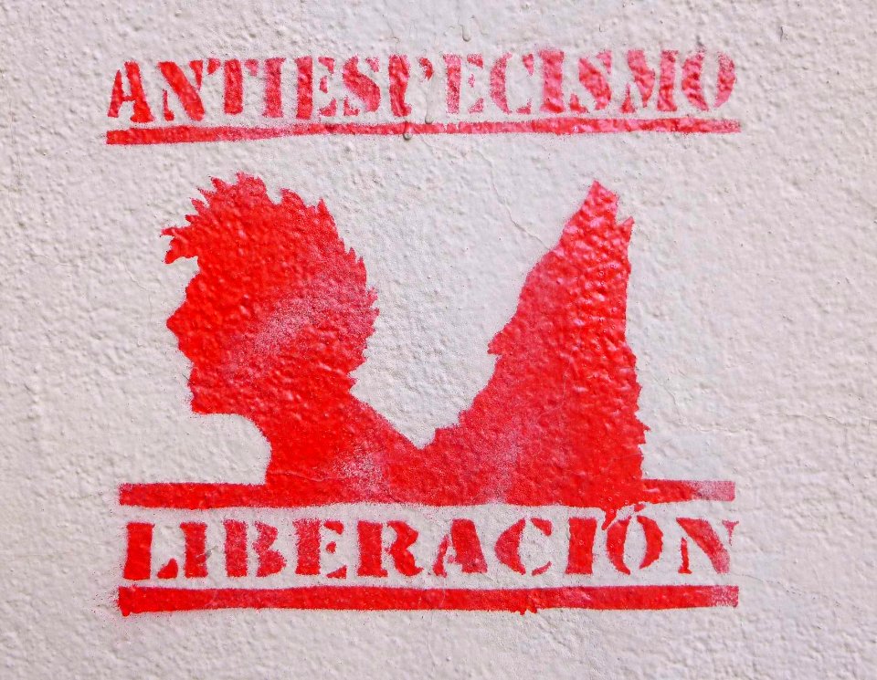 Madrid - Puente de Vallecas - Graffiti 2