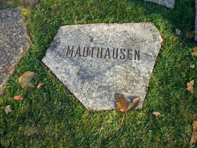 Mahnmal für Sinti und Roma 2012-10-31 02