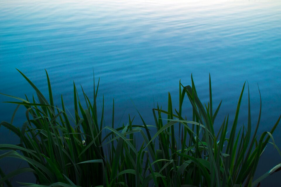 River water blue grass