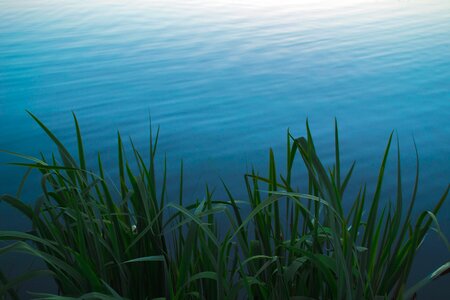 River water blue grass photo