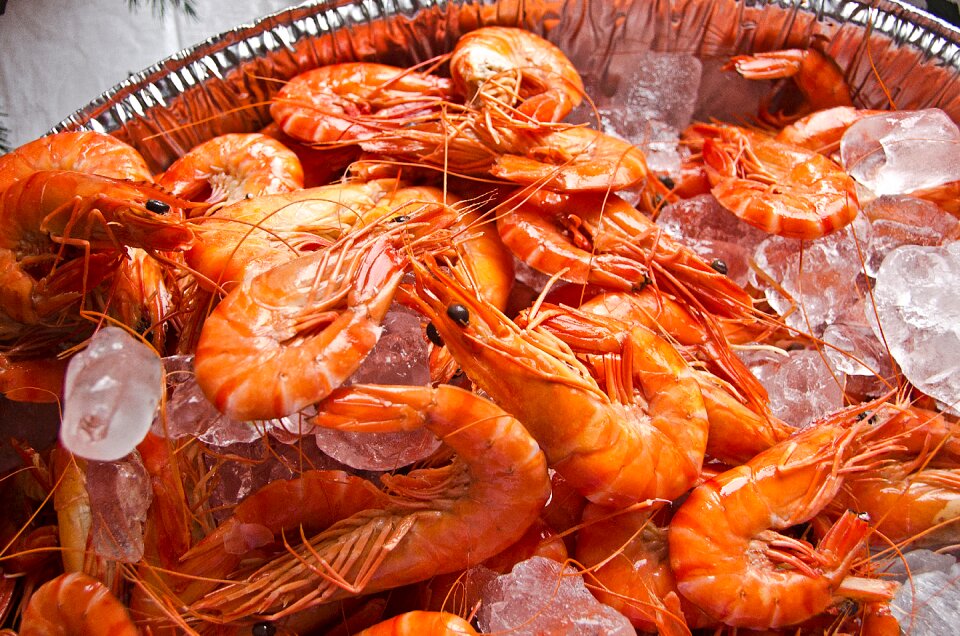 Food shellfish restaurant