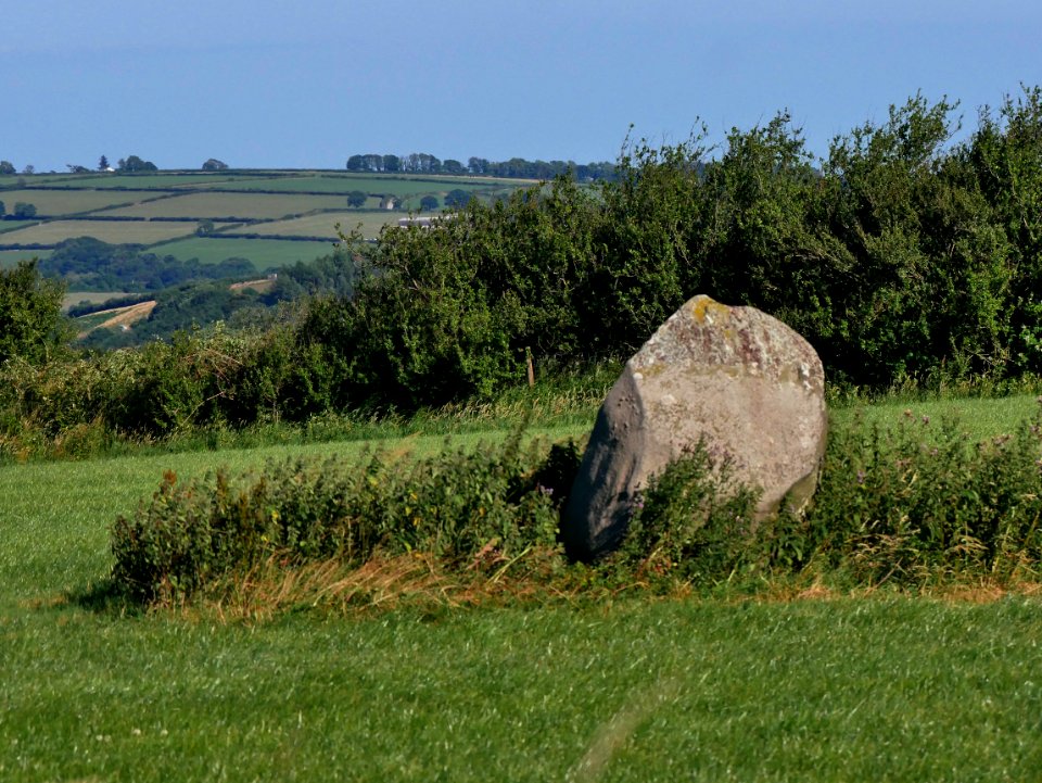 Maenclochog Standing Stones H5b