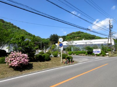 Maeda-Shell-Service-1