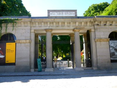 Madrid - Real Jardín Botánico 1