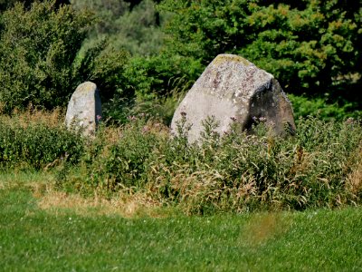 Maenclochog Standing Stones H3b