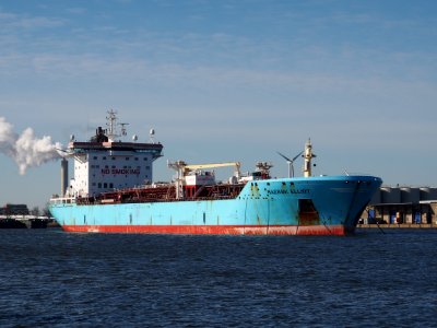 Maersk Elliot (ship, 2005) IMO 9274678, Hornhaven, Port of Amsterdam pic2
