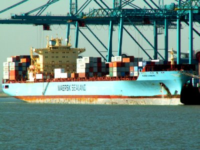 Maersk Duisburg IMO 9105920, at Port of Antwerp, Belgium 10-Oct-2005