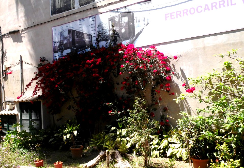 MAJORKA-FERROCARRIL PALMA-SOLLER, AB-155