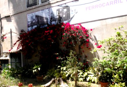 MAJORKA-FERROCARRIL PALMA-SOLLER, AB-155