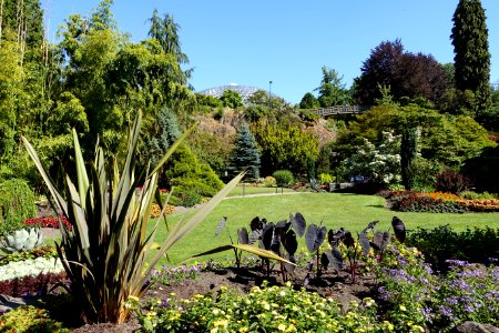 Main Quarry Garden - Queen Elizabeth Park - Vancouver, Canada - DSC07596
