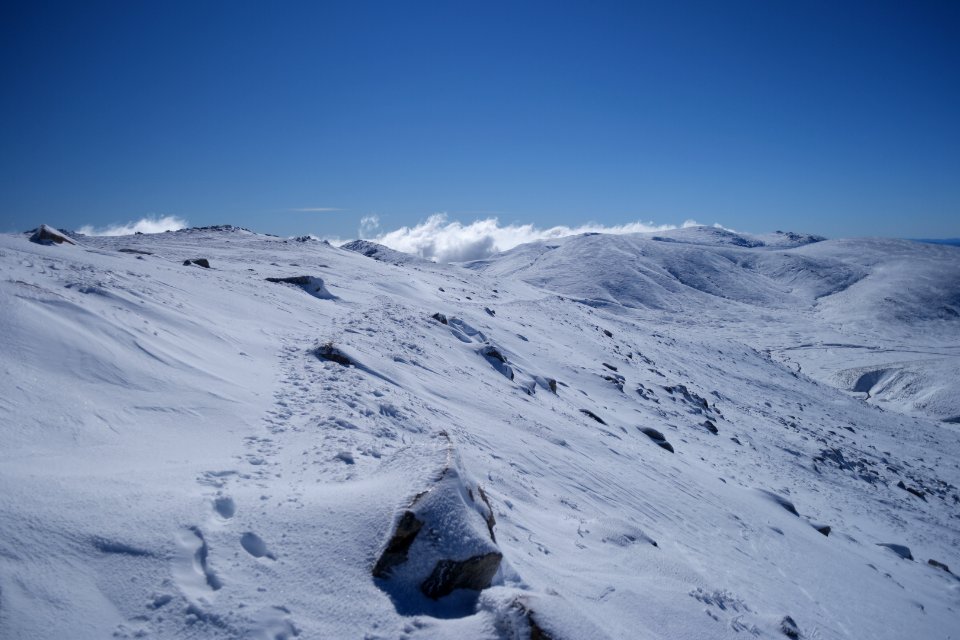 Main Range Track, Kosciuszko National Park 02