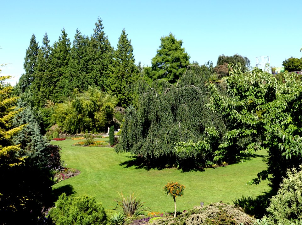 Main Quarry Garden - Queen Elizabeth Park - Vancouver, Canada - DSC07634