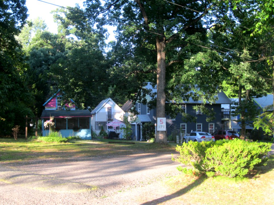 Main road, New Haven District Campground
