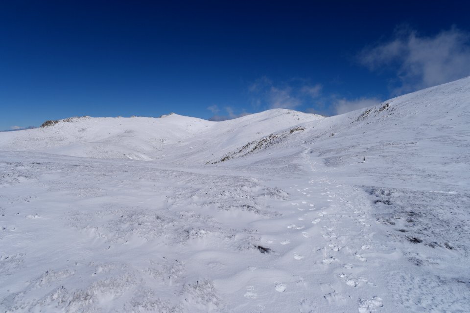 Main Range Track, Kosciuszko National Park 16