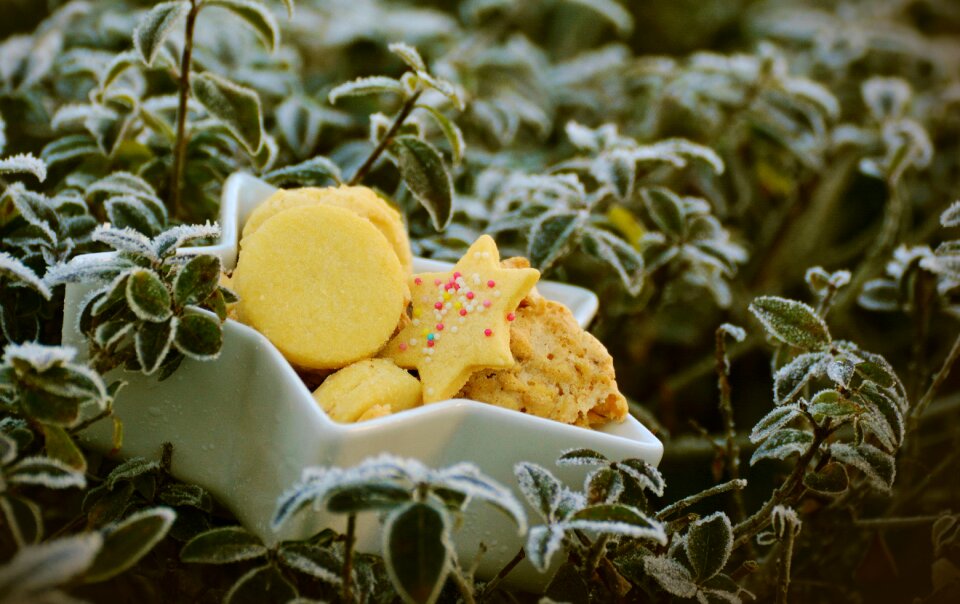 Pastries cookie christmas photo