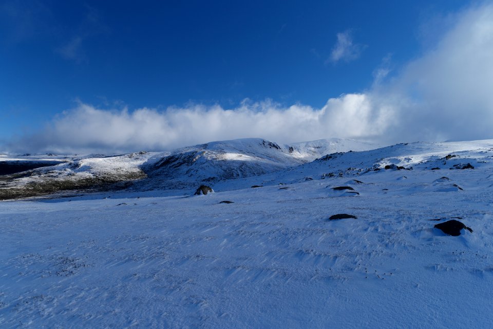 Main Range Track, Kosciuszko National Park 47