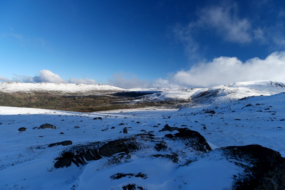 Main Range Track, Kosciuszko National Park 46