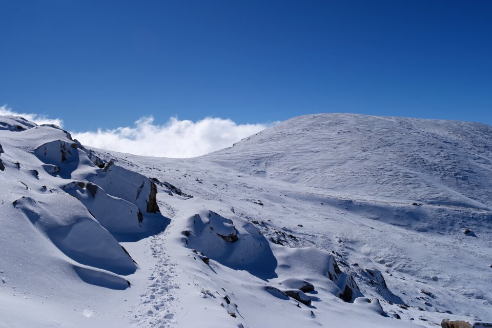Main Range Track, Kosciuszko National Park 12