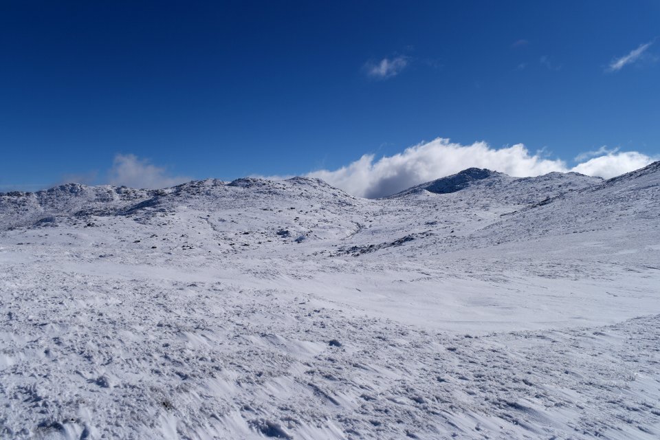 Main Range Track, Kosciuszko National Park 11