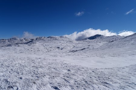 Main Range Track, Kosciuszko National Park 11