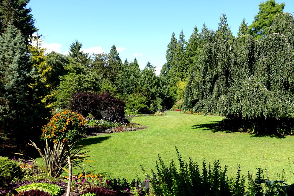 Main Quarry Garden - Queen Elizabeth Park - Vancouver, Canada - DSC07627