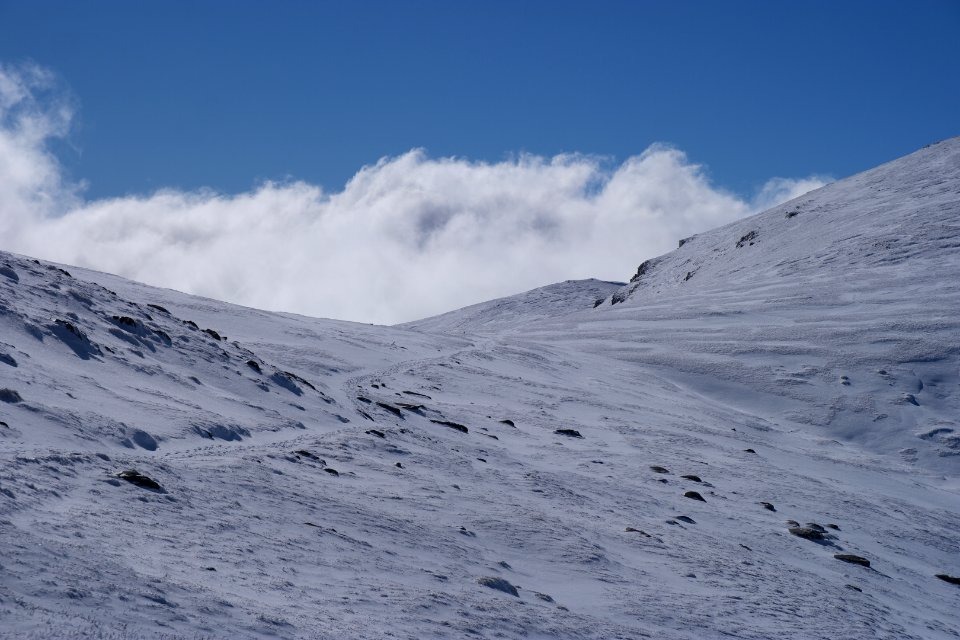 Main Range Track, Kosciuszko National Park 15