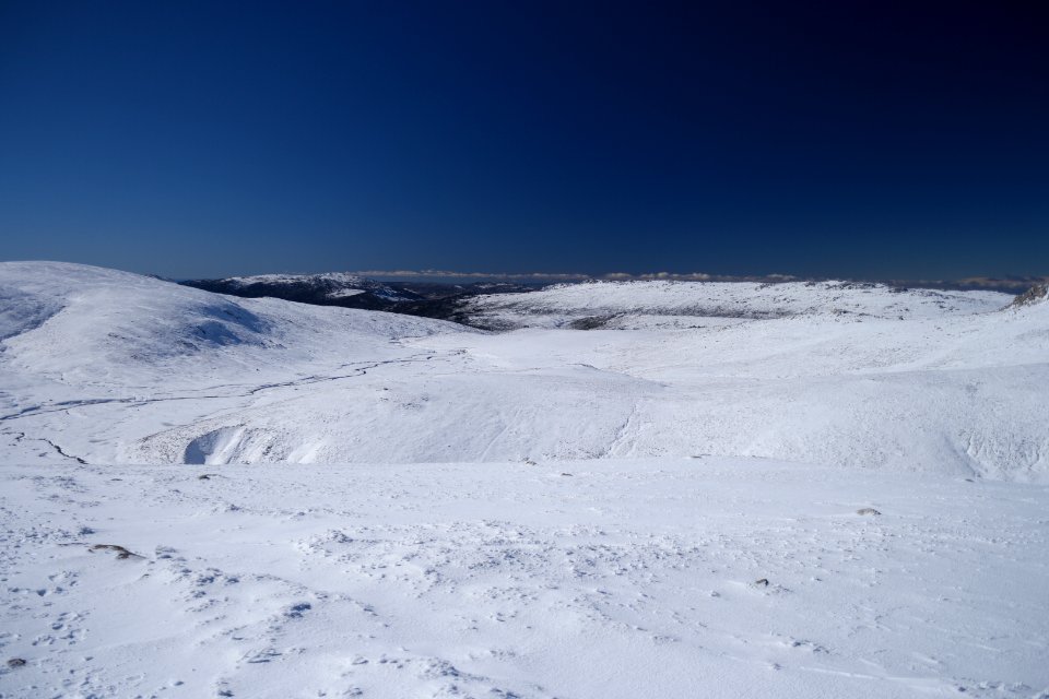 Main Range Track, Kosciuszko National Park 04