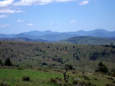 Main Range from Allandale, Queensland