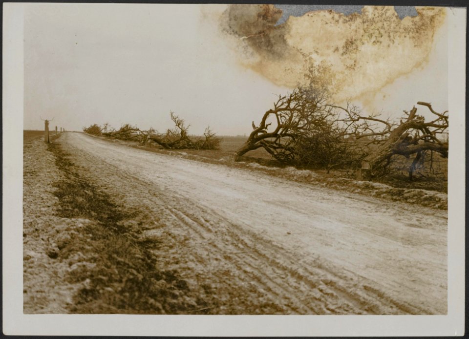 Main road from Vendelles to Vermand. Telegraph poles and apple trees cut down by, Bestanddeelnr 158-2782
