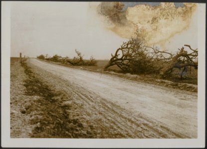 Main road from Vendelles to Vermand. Telegraph poles and apple trees cut down by, Bestanddeelnr 158-2782