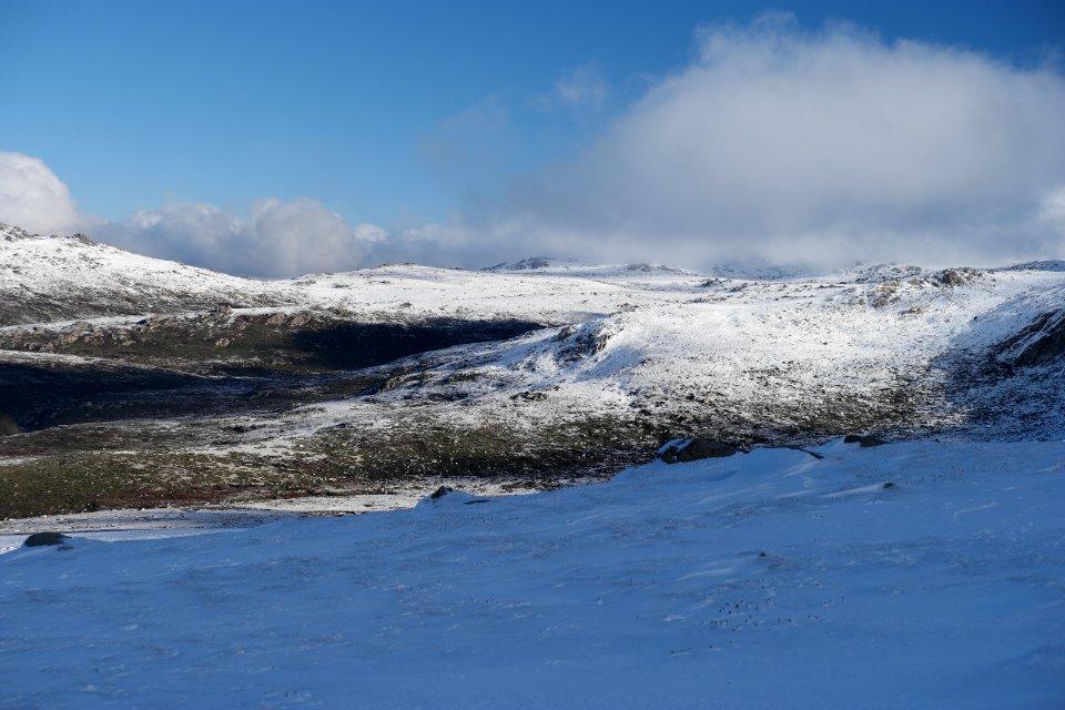 Main Range Track, Kosciuszko National Park 41