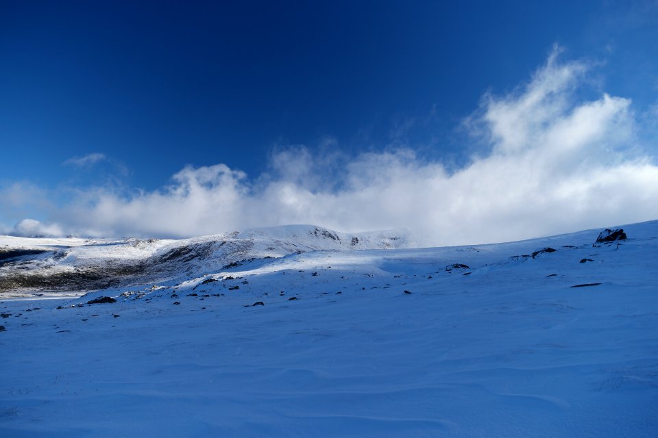 Main Range Track, Kosciuszko National Park 43