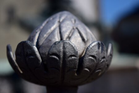 Detail close up macro
