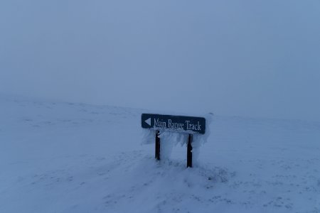 Main Range Track, Kosciuszko National Park 38