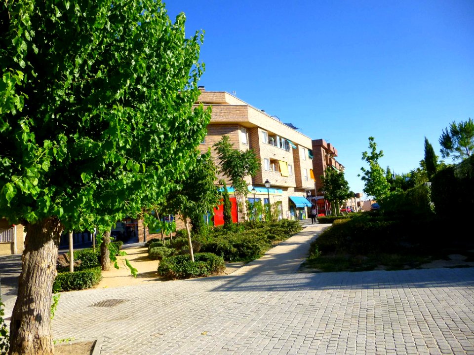 Majadahonda - Plaza de la Constitución 2