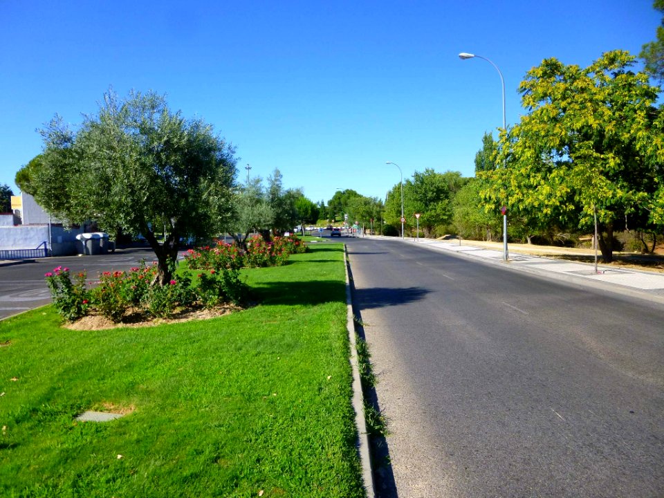 Majadahonda 01