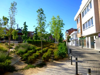 Majadahonda - Plaza de la Constitución 1
