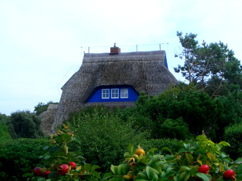 Maison typique Darss