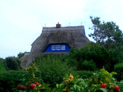 Maison typique Darss