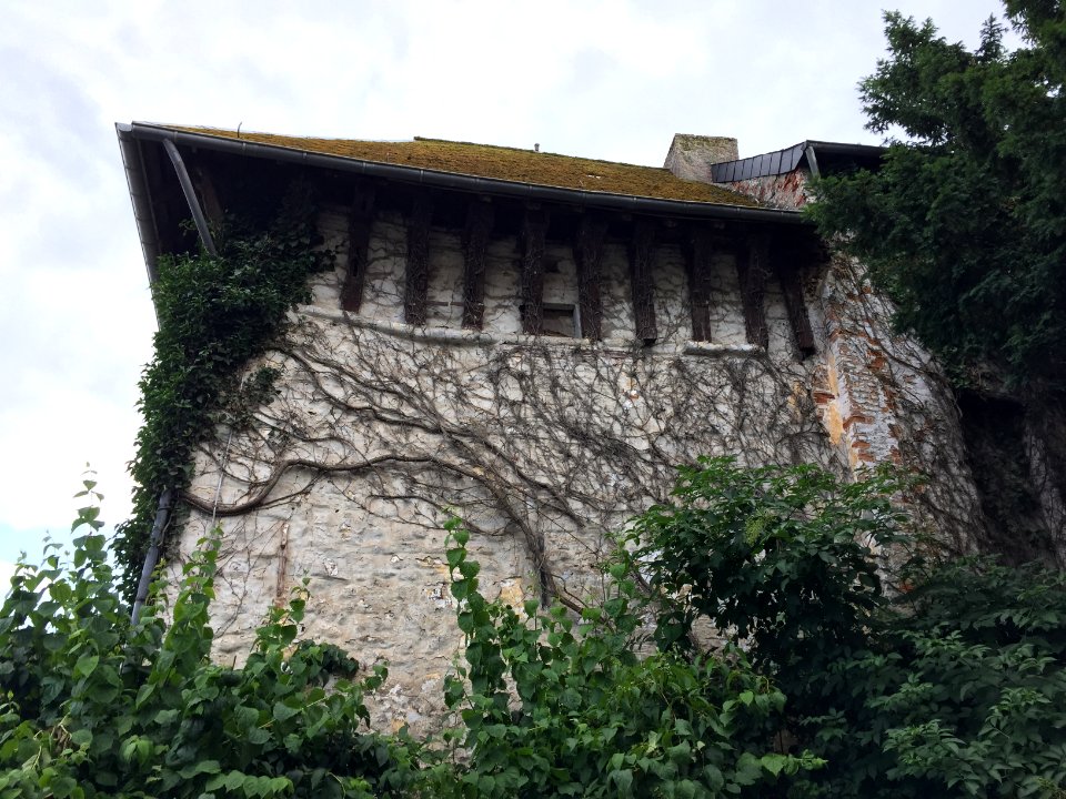 Maison forte de Nalinnes 01