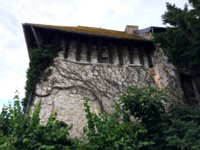 Maison forte de Nalinnes 01