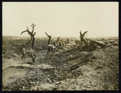 Making a road through captured ground, Bestanddeelnr 158-1015