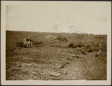 Making a road over captured ground, Bestanddeelnr 158-2791