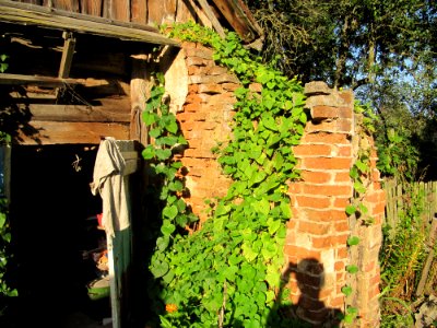 Makrany - Chyrvonaja Dubrava village - manor Woynillowicz family 12 - 2014 AD