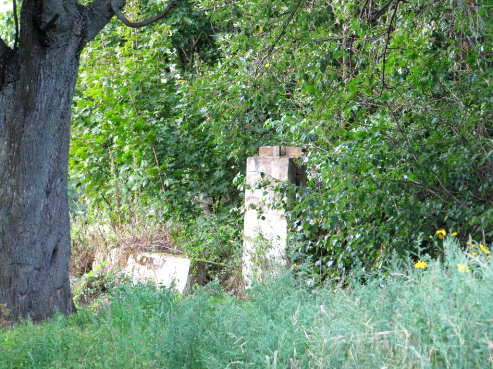 Makrany - Chyrvonaja Dubrava village - manor Woynillowicz family 04 - 2014 AD