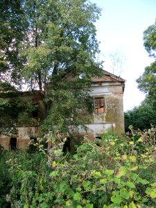 Makrany - Chyrvonaja Dubrava village - manor Woynillowicz family 11 - 2014 AD